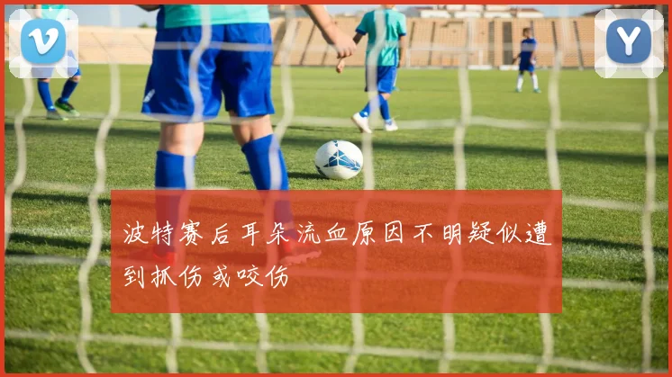 波特赛后耳朵流血原因不明疑似遭到抓伤或咬伤
